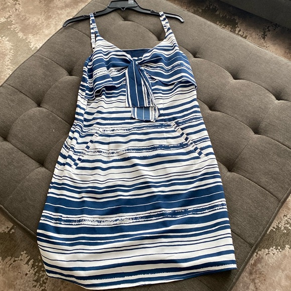Cabi Dark Blue and White Dress - Picture 1 of 4